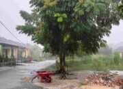 Hujan Guyur Riau Hari Ini, Bmkg Imbau Warga Waspada Petir Dan Angin Kencang